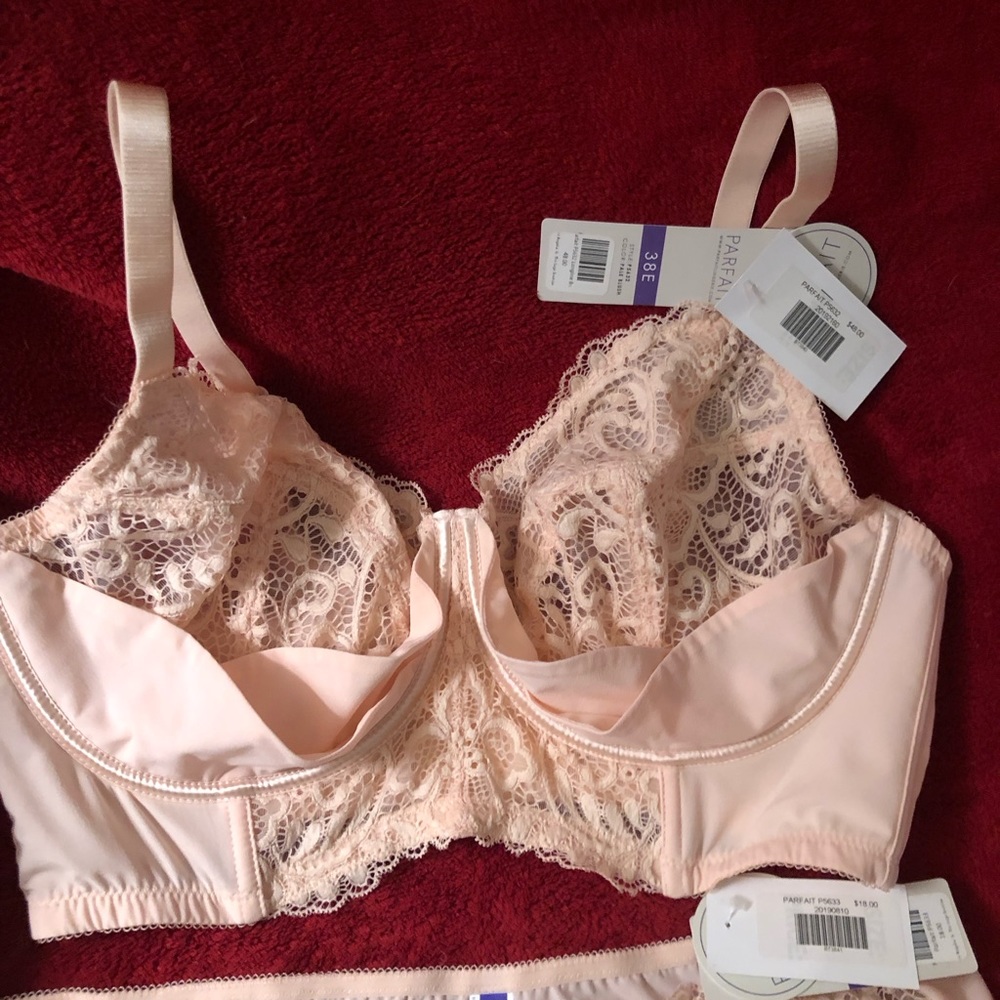 Parfait Lingerie Pale Blush Bra & Panty Set - Size 38E/Large - New With Tags - Picture 7 of 9